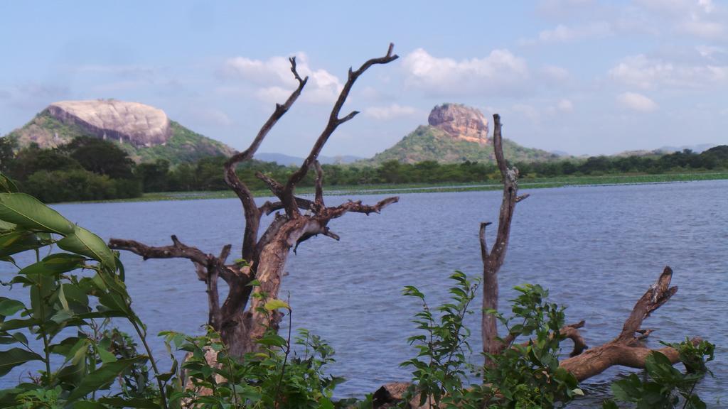 Sigiri Sara Home Stay Nice Village Sigiriya Exterior foto